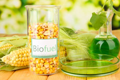 Stert biofuel availability