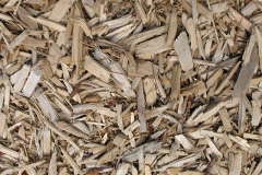 biomass boilers Stert